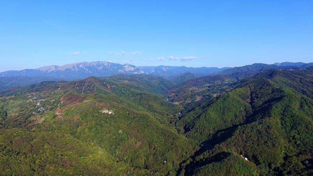 Pensiunea Eden Băile Olăneşti Εξωτερικό φωτογραφία